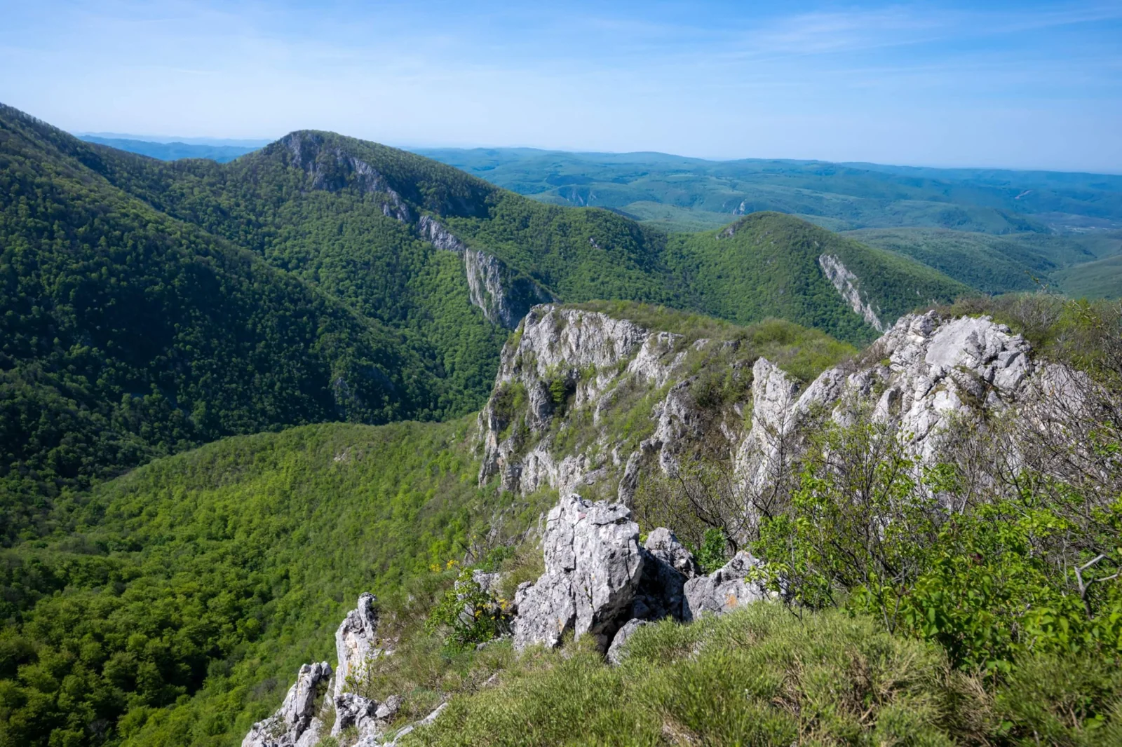 Izvoare, mușchi și praguri naturale