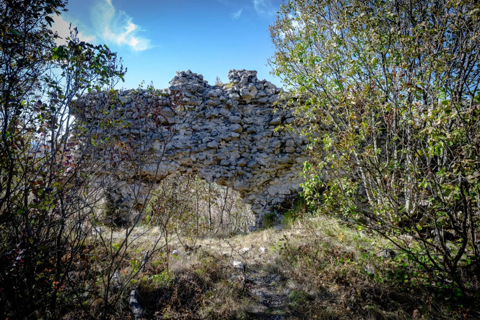 Cetatea Socolari