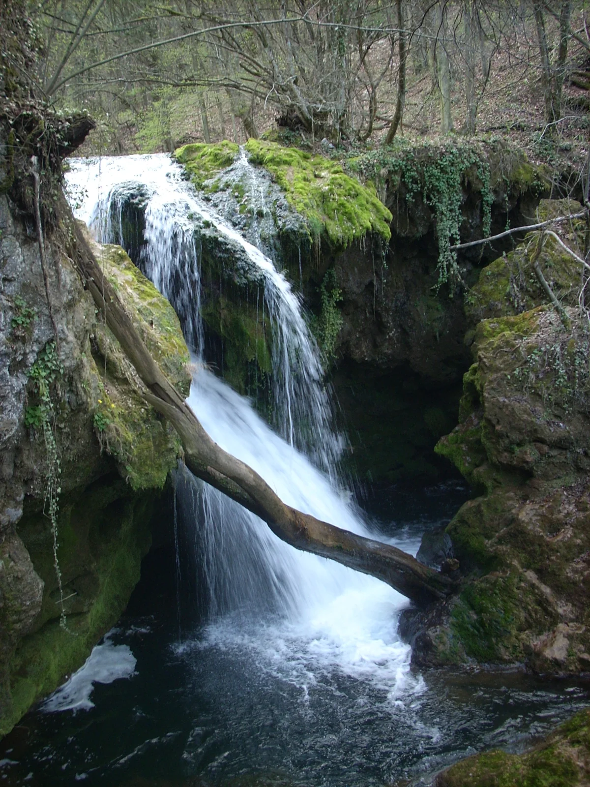 Cascada Văioaga